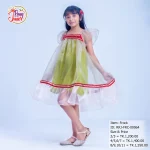 RRJ-FRC-00064 (1)