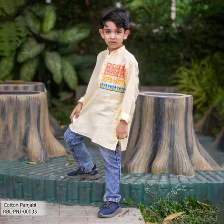 Boy's Panjabi