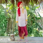 Boy's Panjabi