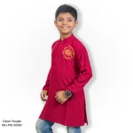 Boy's Panjabi