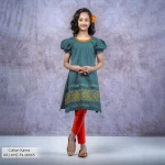 Rang Bangladesh RRJ-KMZ-F4-00065 (3)f