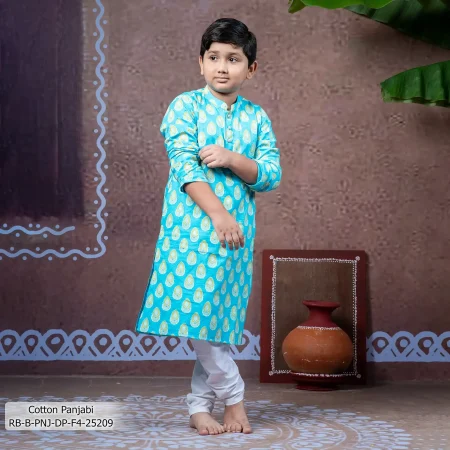 Boy's Panjabi