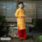 Boy's Panjabi
