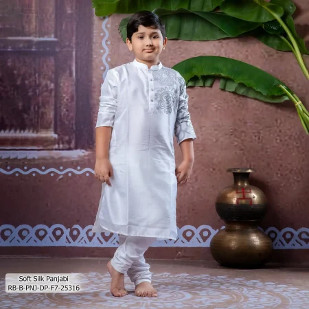 Boy's Panjabi
