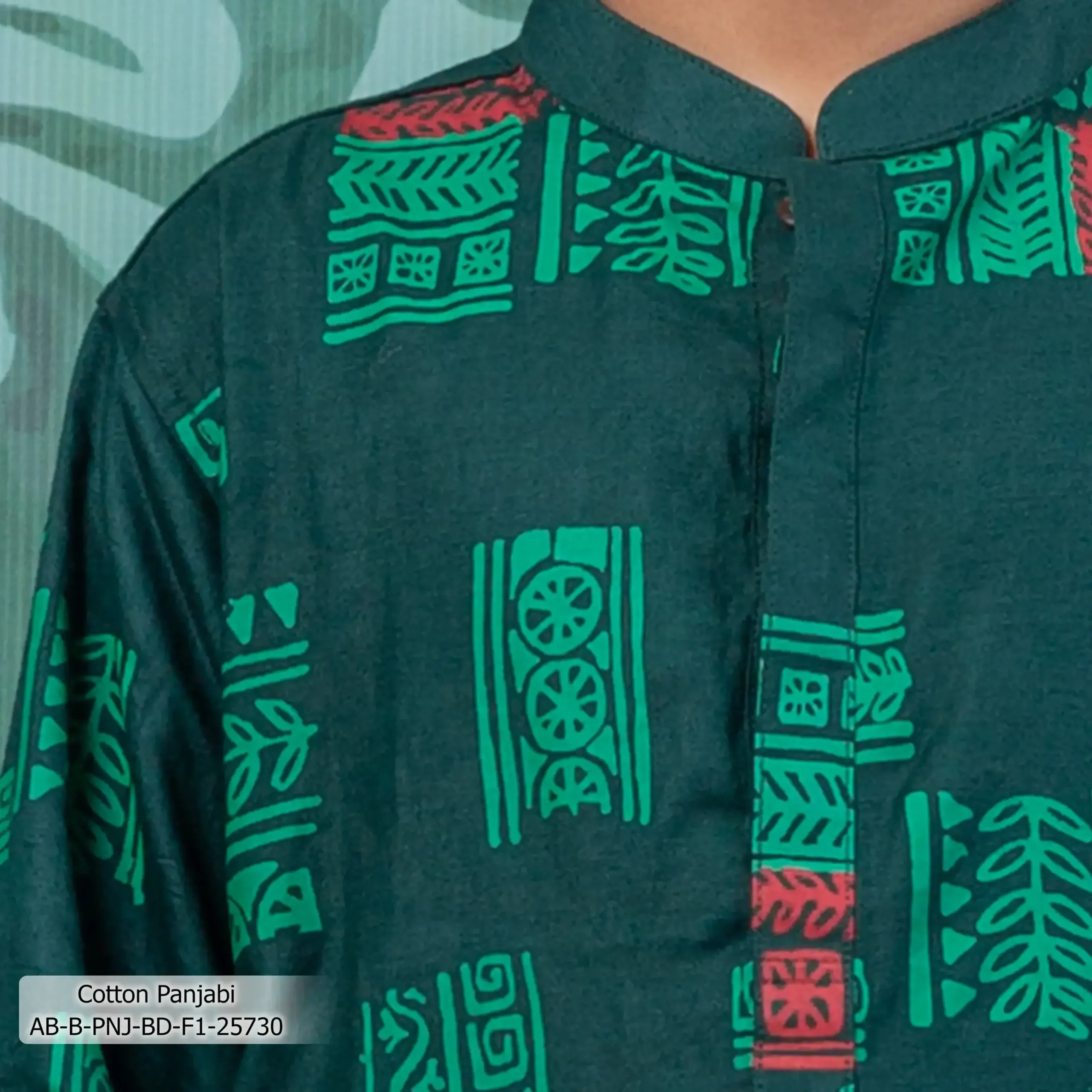 AB-B-PNJ-BD-F1-25730 (1)z